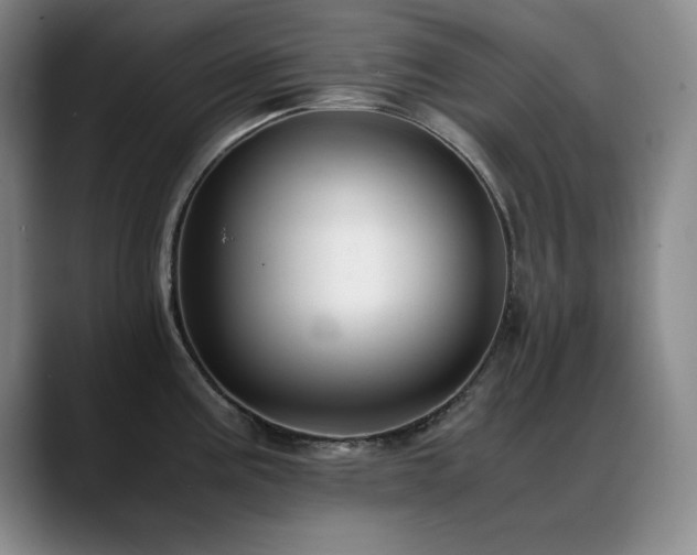 X0000089431195200706151303