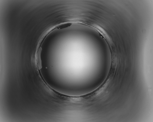 X0000089431196200706151303