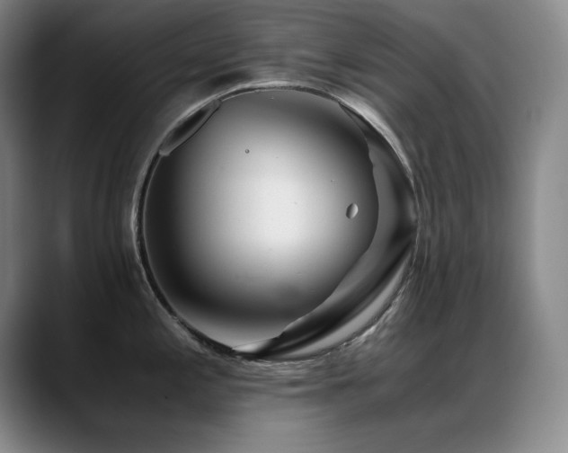 X0000089431197200706151303