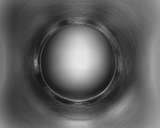 X0000089431198200706151303