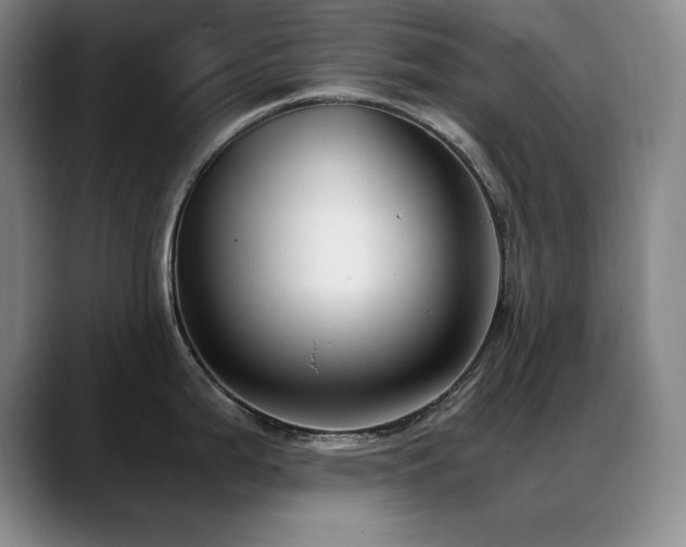 X0000089431199200706151303