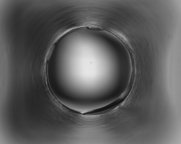 X0000089431200200706151303