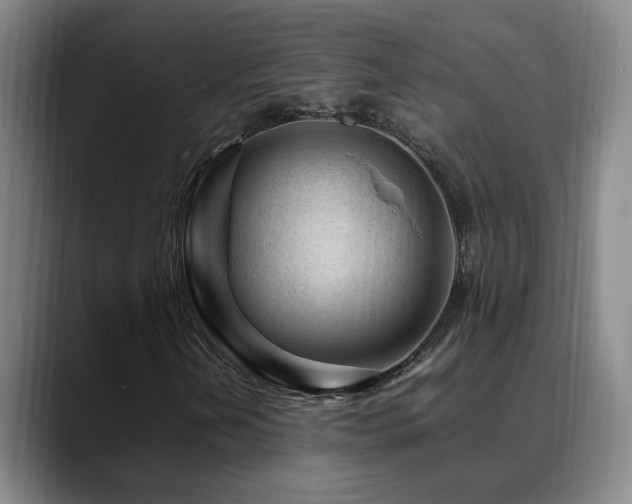 X0000089431202200706151302
