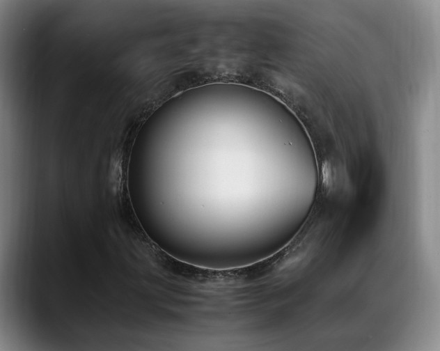 X0000089431203200706151302
