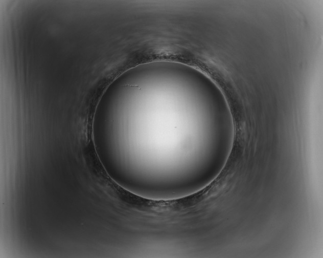 X0000089431205200706151302