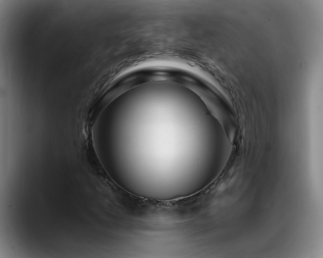 X0000089431206200706151302