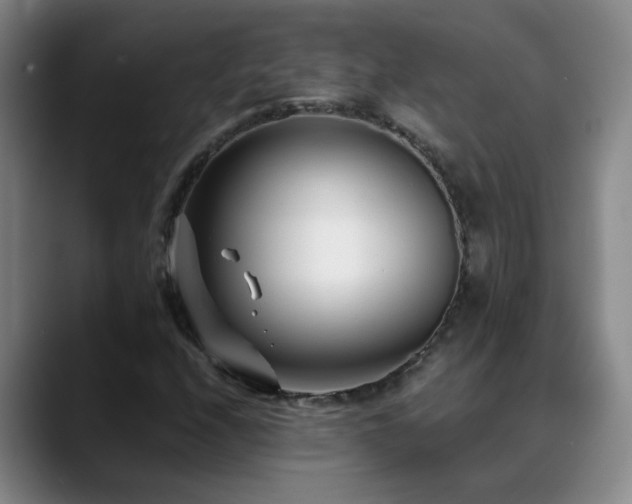 X0000089431208200706151302