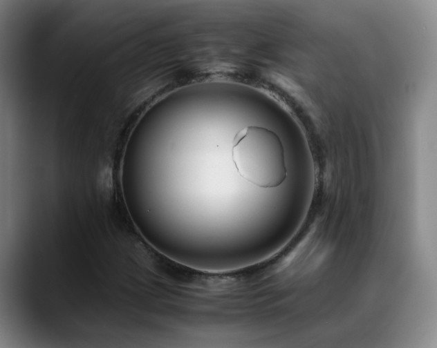 X0000089431209200706151302