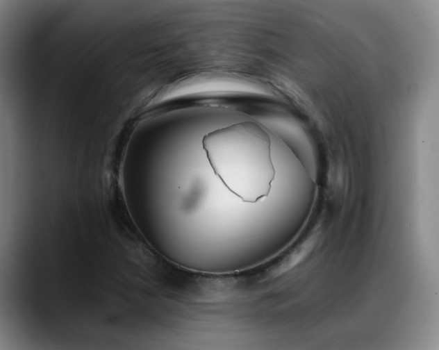 X0000089431210200706151302