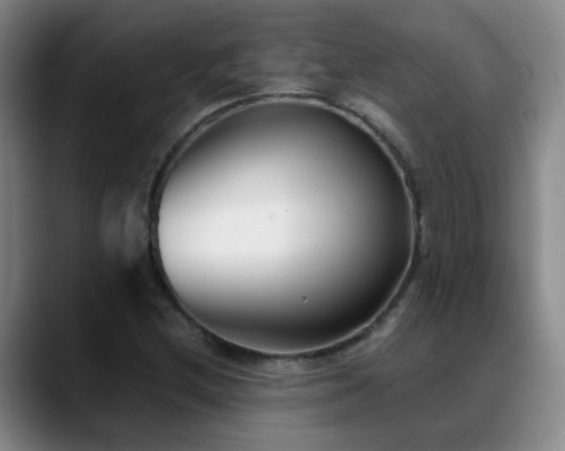 X0000089431212200706151302