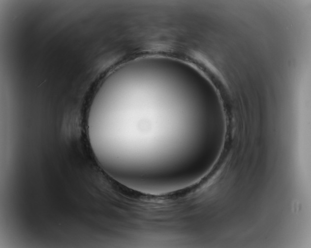 X0000089431213200706151302