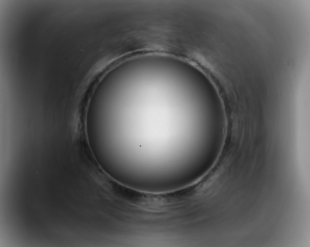 X0000089431215200706151302