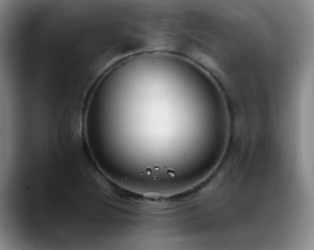 X0000089431220200706151303