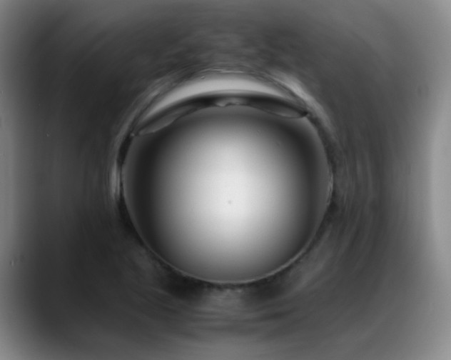 X0000089431221200706151303