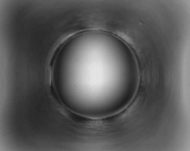 X0000089431223200706151303
