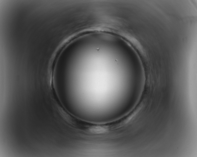 X0000089431224200706151303
