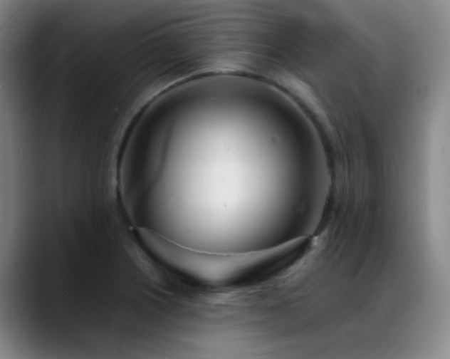 X0000089431226200706151303