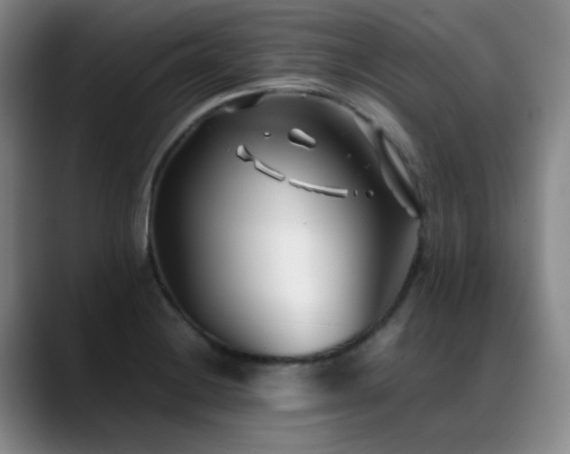 X0000089431228200706151303