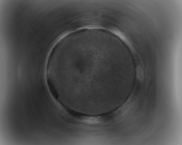 X0000089431229200706151303