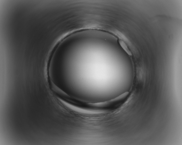 X0000089431230200706151303