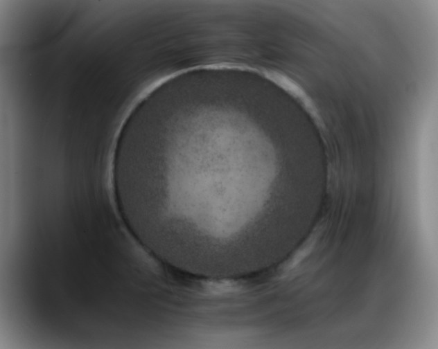 X0000089431231200706151303