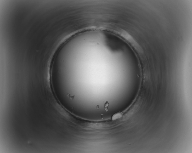 X0000089431232200706151303