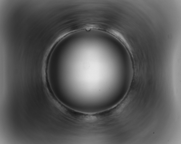 X0000089431235200706151303