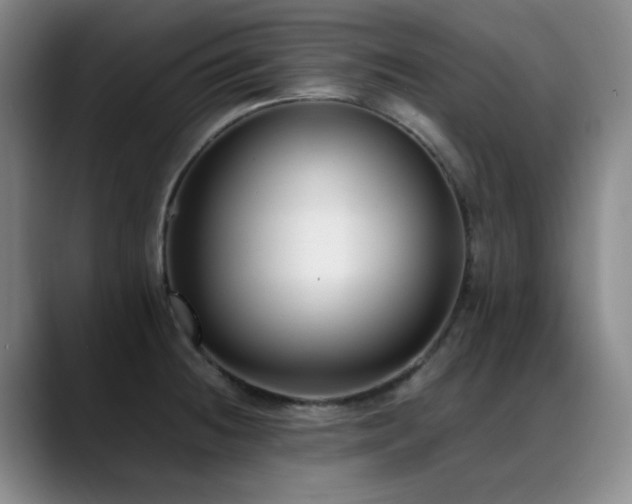 X0000089431236200706151303