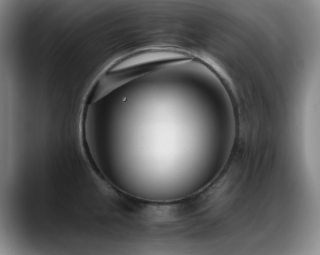 X0000089431237200706151303