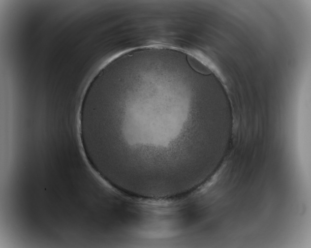 X0000089431239200706151303