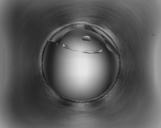 X0000089431240200706151303