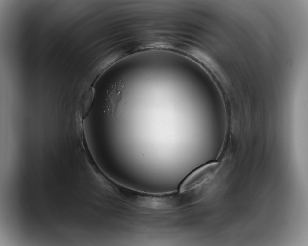 X0000089431241200706151303