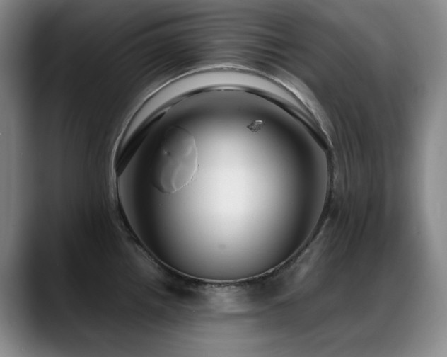 X0000089431242200706151303