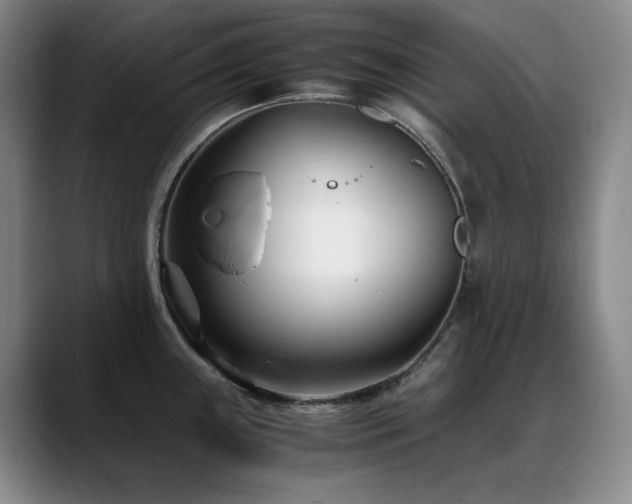 X0000089431243200706151303