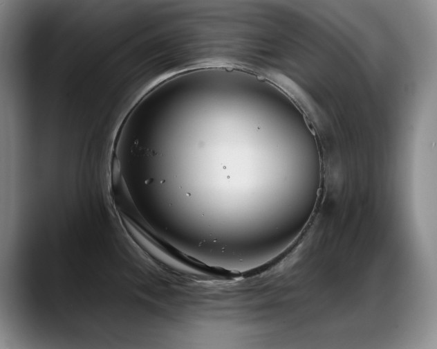 X0000089431244200706151303