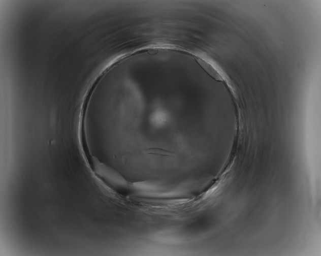 X0000089431245200706151303