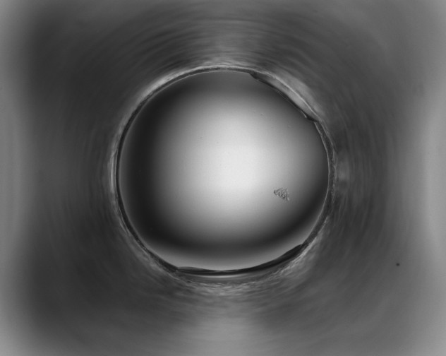 X0000089431246200706151303