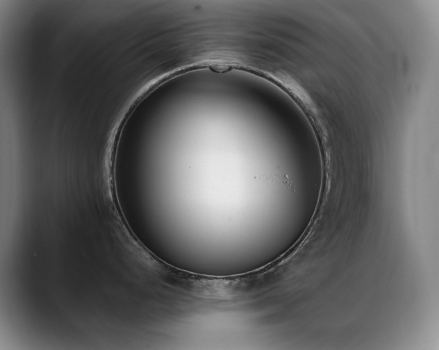 X0000089431248200706151303