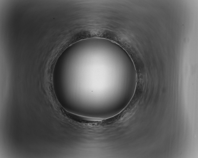 X0000089431249200706151302