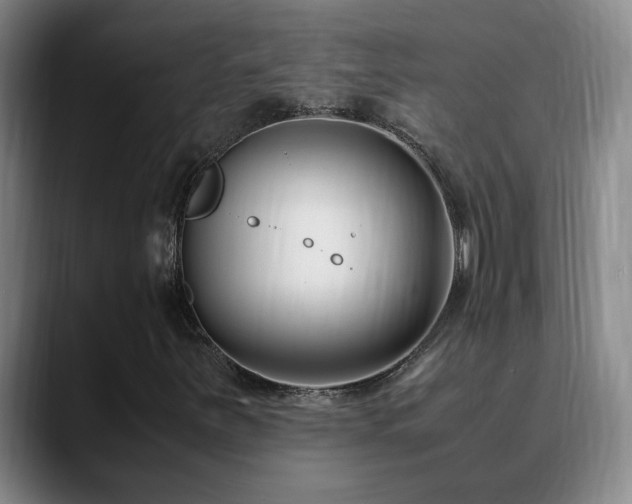 X0000089431251200706151302
