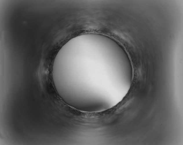 X0000089431254200706151302
