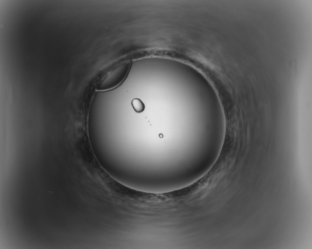 X0000089431255200706151302