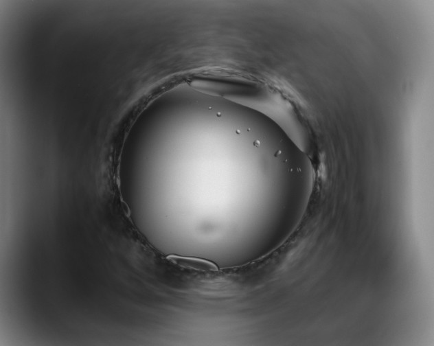 X0000089431256200706151302