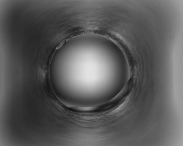 X0000089431257200706151302