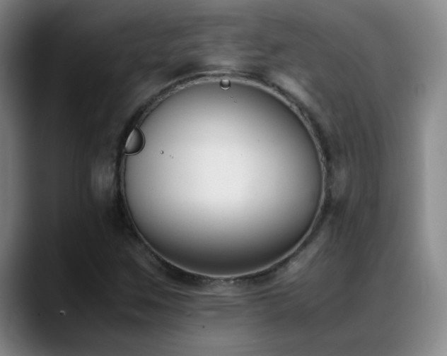 X0000089431259200706151302