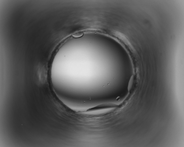X0000089431260200706151302