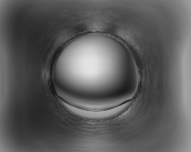 X0000089431261200706151302