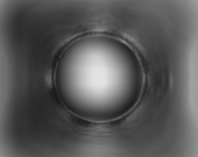 X0000089431262200706151302