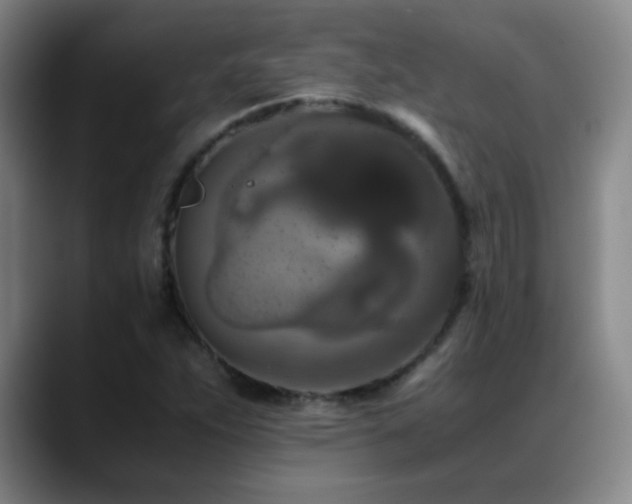 X0000089431263200706151302