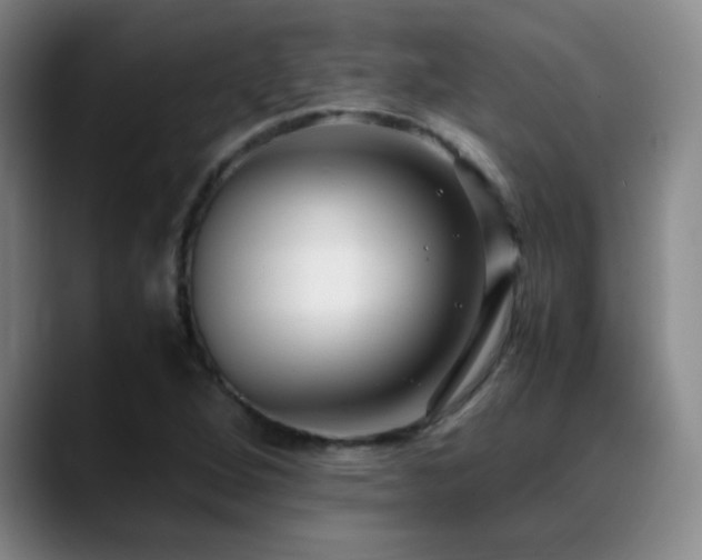 X0000089431264200706151302